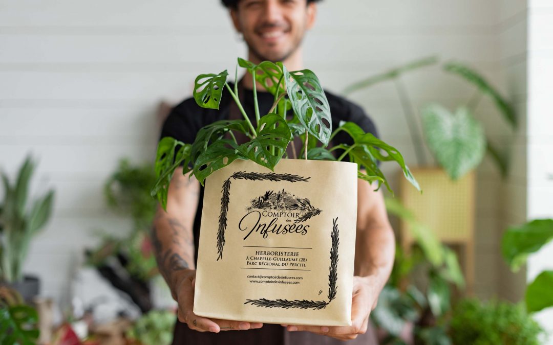 Comptoir des Infusées